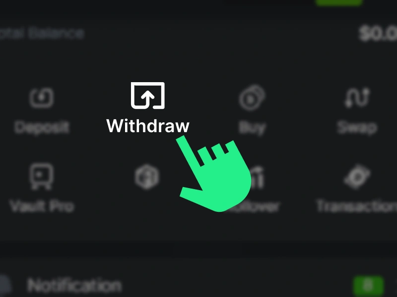 BC.Game Nigeria wallet section with Withdraw option highlighted